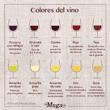 Sabes Diferenciar Un Vino Por Su Color Aqui Te Dejamos Unas Pistas No Dejes De Practicar Aprendeconmuga Can Vinos Cata De Vinos Etiquetas De Vino