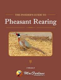 An incubated egg that will become a rooster starts to develop a penis, but early in the second week of embryonic development, a cell death protein called bmp4 cloaks the incipient penis, causing it to stop developing and instead remain as a rudimentary nub. Regular Issues Facing A Commercial Gamebird Farm When Raising Pheasants Hatching Pheasant Eggs How To Raise Pheasants Part 3