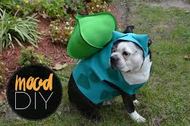 Mood Diy Bulbasaur Dog Halloween Costume Mood Sewciety Dog Halloween Costumes Dog Halloween Pokemon Pet Costumes