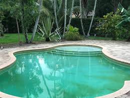 Yellow Algae In Your Pool Crystal Pools Jupiter Pool Cleaning Service