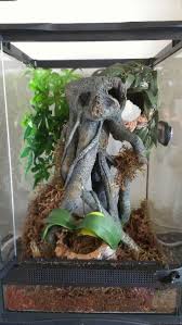 Pin By Krystal Mcbee On Tarantula Vivariums Tarantula Enclosure Tarantula Habitat Pet Spider