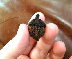 For the top cast on 12 stitches. Ravelry Perfect Knitted Acorn Pattern By Jessie Driscoll