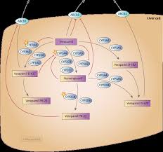 Image result for Verapamil