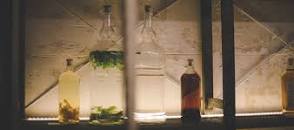 Resultado de imagen para "la comida mas barata del mundo" "pedro j. avila"