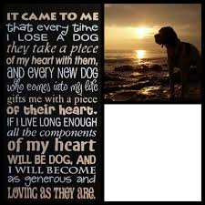 Pet Memorial Poem Personalized With Your Dog S Picture Etsy In 2021 Custom Pet Memorials Pet Memorials Memorial Poems