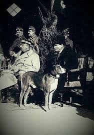 Vatan Sevgisi Insan Sevgisi Cocuk Sevgisi Ve Hayvan Sevgisi Canim Ata M Nasil Guzel Bir Insansin Senn Seni Cok Seviyorum Nadide Fotograflar Resim Gotik Sanat