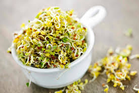 We did not find results for: Il Gusto Segreto Dei Germogli