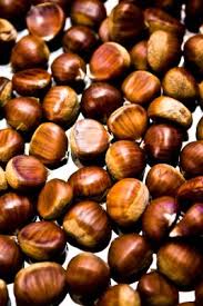The small buckeye tree is in the horse chestnut family. Where Do Lucky Buckeyes Come From