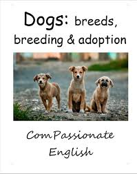 This Lesson Addresses Some Of The Problems Caused By Selective Breeding And Discusses Where To Adopt From Animal Shelter Quotes Rescue Dog Quotes Dog Quotes