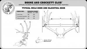 Photo Guide To Scoring Mule Deer Muley Freak