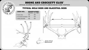 Photo Guide To Scoring Mule Deer Muley Freak