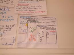 Pin On Science Unit Studies