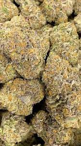 Pin On Fun Bud
