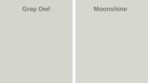 It's a beautiful choice for those who want a light feeling in the room without using white. Benjamin Moore Gray Owl Oc 52 West Magnolia Charm
