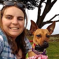 Revenge at Ravenswick: A Fiona Figg Cozy Mystery by Kelly Oliver