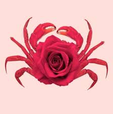 Flowers for your zodiac sign. Cancer The Ancient Greek Myth Behind The Zodiac Sign Greeker Than The Greeks