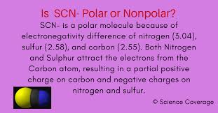 Is Scn Polar Or Nonpolar Covalent Bonding Molecular Geometry Solubility