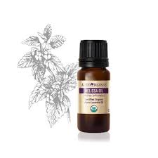 Image result for Melissa officinalis