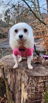 Saturday... We're out to the park again. Sending blessings to everyone for  a great weekend🙏💙❤️💙