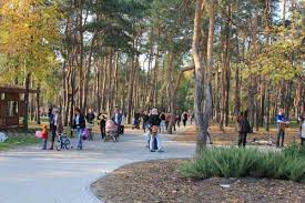 В городе воронеже есть парк под названием алые паруса. Voronezhskij Park Alye Parusa Priznan Odnim Iz Luchshih V Strane