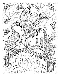 Pin By Andrea Vasquez On Coloring Pages In 2020 Bird Coloring Pages Jungle Coloring Pages Cool Coloring Pages
