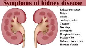 What Should Be Your Diet When Suffering From Kidney Disease