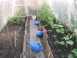 как правильно сделать грядки в теплице 3 на 6 Shema Gryadok V Teplice 3h4 Kak Pravilno Sdelat Gryadki V Teplice