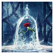 Check spelling or type a new query. Orasnap Beauty And The Beast Rose Stained Glass Drawing