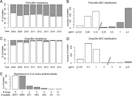 clinical and microbiological aspects of lactam resistance