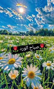 صباح الجمال مع أجمل الورد والياسمين