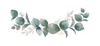 Download Eucalyptus Free Vector Eps Cdr Ai Svg Vector Illustration Graphic Art