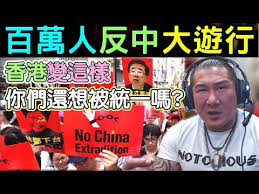 Image result for 香港反送中大遊行