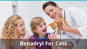 benadryl for cats dosage how much can you give them for