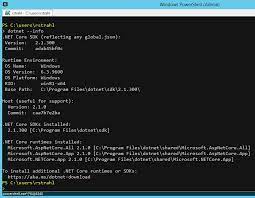 Not sure where to start? Which Net Core Runtime Download Do You Need Rick Strahl S Web Log