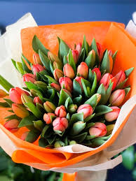 They are also frequently used as cut flowers in arrangements. 50 Orange Tulips Bouquet Flower Delivery Luxury Flowers
