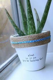 What to name my plant. Aloe My Name In Anigo Montoya You Killed My Father Prepare To Die Planting Flowers Plants Plant Puns