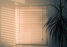 We'll deliver right to your doorstep anywhere in sydney! Vertical Blinds The Comprehensive Buyers Guide Into These Stylish Window Dressings True Services