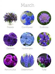 Imagine a california with volcanoes erupting to the east and los angeles buried under the pacific ocean. Wedding Budget Tip 16 Choose In Season Flowers To Save Money March Wedding Flowers Seasonal Flowers Flower Guide