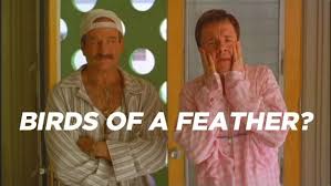 Birds Of A Feather Movie 19 Things You Didn T Know About The Movie The Birdcage Robin Williams Movies I Movie