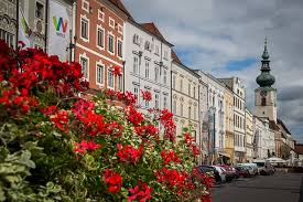 Wels is a group of nearly 370,000 men, women, and children in nearly 1,300 congregations across the united states and canada united by a common faith in christ's saving love. Catfish City Of Wels Austria Free Photo On Pixabay