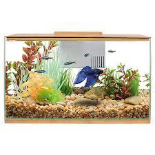 Top fin aquarium decorations petsmart locations store. Top Fin Bettaflo Betta Aquarium Fish Starter Kits Petsmart