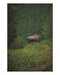 Dylan Drenner (@d_drenner) • Instagram photos and videos