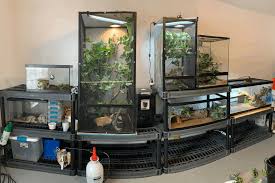 For maintenance, wash them after every usage. 5 Best Chameleon Cages