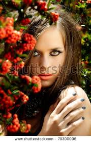 Hogwarts School of Witchcraft and Wizardry