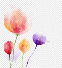 Many cyclists enjoy traveling the tulip route. Purple Red And Orange Flowers Illustration South Korea Watercolor Painting Flower Tulip Computer Wallpaper Tulip Flower Tulips Png Pngwing