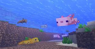 Maybe you would like to learn more about one of these? Axolotls Have Arrived In The Minecraft Caves And Cliffs Update News Brig