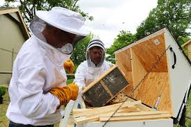 We offer free phone and email support. Flexible Beekeeping Top Bar Hive Essentials Extras Hobby Farms