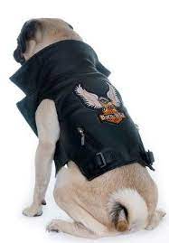 Pet Leather Biker Jacket Ropa Para Perros Machos Ropa Para Perros Grandes Vestidos Para Perros