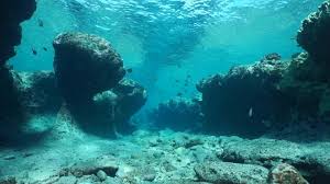 Earth S Interior Is Sucking Ocean Water Exceeding The Amount It Gives Back Says A Study Education Today News Seawater, or salt water, is water from a sea or ocean. earth s interior is sucking ocean water