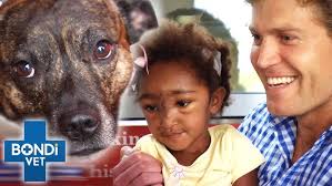 Dr Jaclyn Gatt, exotics vet at BEAC